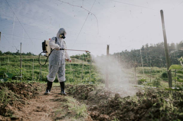 Professional Pest Control in Arcola, VA