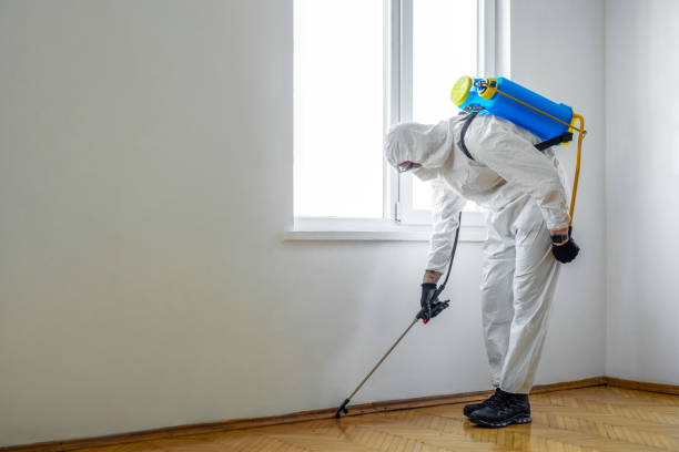 Best Cockroach Control Services  in Arcola, VA
