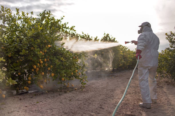 Best Best Pest Control Companies  in Arcola, VA