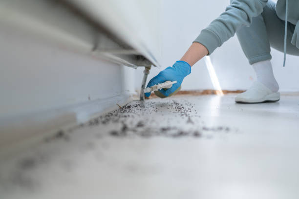 Best Affordable Pest Control Services  in Arcola, VA